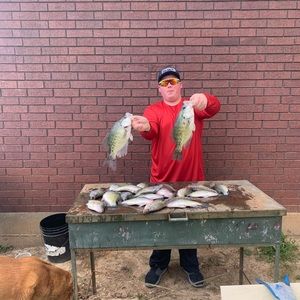 Meet your Posher, Jacob